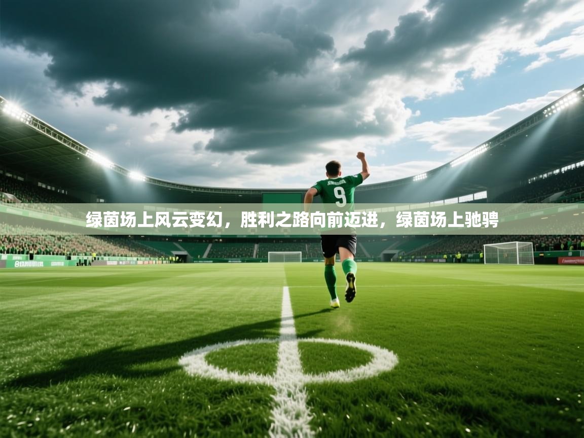 2025极速体育绿茵场上风云变幻,胜利之路向前迈进,绿茵场上驰骋  第2张