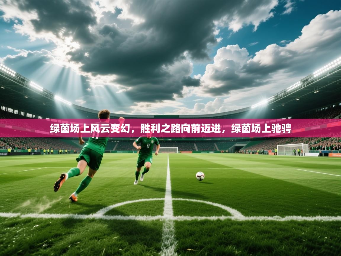 2025极速体育绿茵场上风云变幻,胜利之路向前迈进,绿茵场上驰骋  第3张