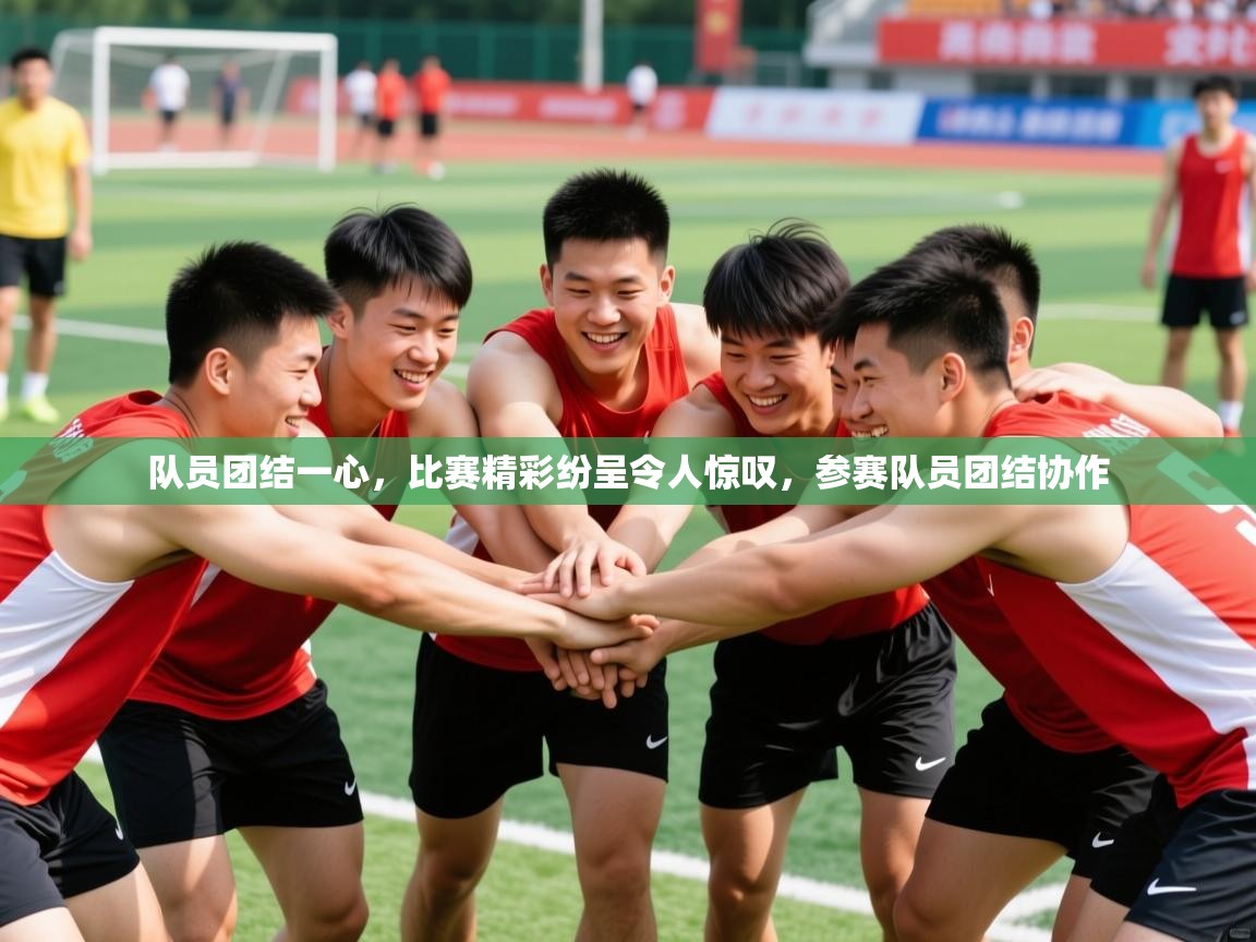 2025极速体育直播免费队员团结一心,比赛精彩纷呈令人惊叹,参赛队员团结协作  第4张