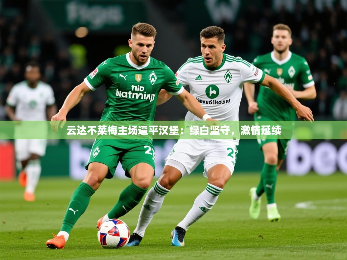 2026极速体育下载云达不莱梅主场逼平汉堡：绿白坚守，激情延续  第1张