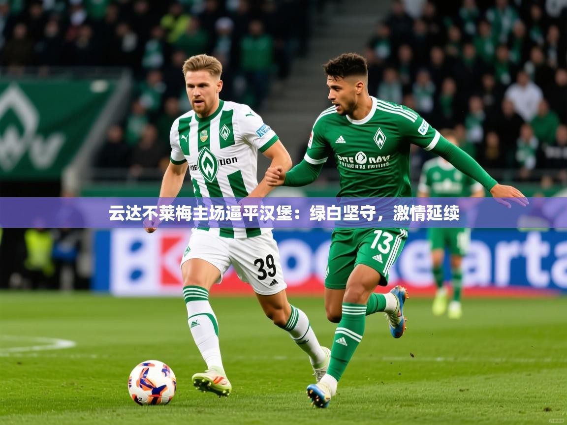 2026极速体育下载云达不莱梅主场逼平汉堡：绿白坚守，激情延续  第4张