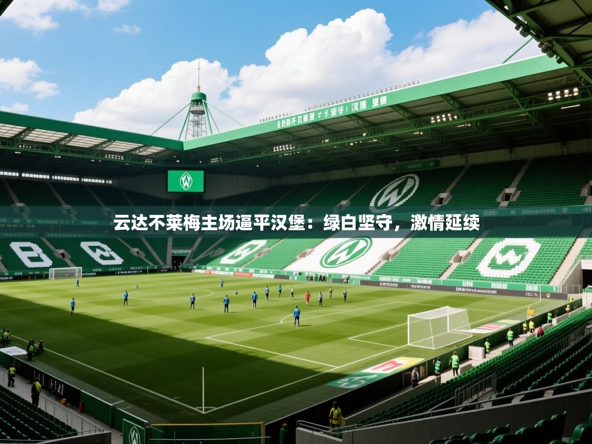 2026极速体育下载云达不莱梅主场逼平汉堡：绿白坚守，激情延续  第2张